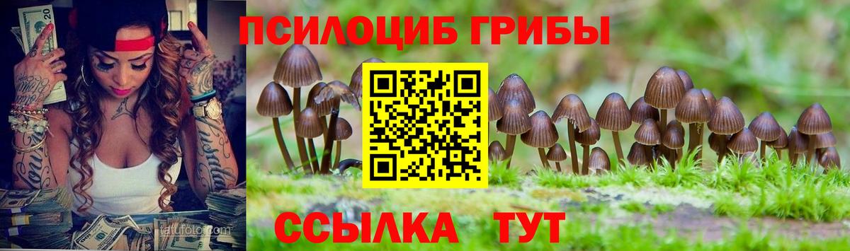 Губаха  Псилоцибиновые грибы GOLDEN TEACHER  Вход с VPN 